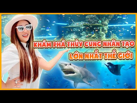 Video Khám phá thủy cung nhân tạo lớn nhất thế giới tại... - youtube