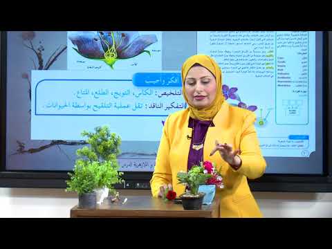 العلوم - الخامس الابتدائي - النباتات الزهرية - الجزء الثاني