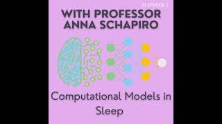 S3E5 - Anna Schapiro - Can we model the way REM and NREM replay consolidate memories?