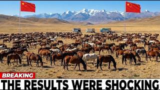China Released a Dying Horse Species into Remote Desert The Results Were Unexpected