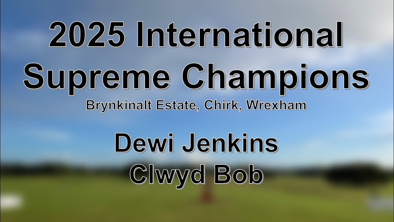 Dewi Jenkins - Clwyd Bob - Supreme Champions 2025 International Sheep Dog Trials