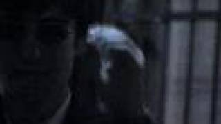 Shadows Opening 2007