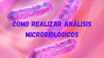 Como realizar análisis microbiológicos (parte 1)