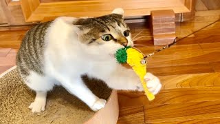 (これアタシのだもん。はなさないもん。)
