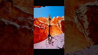Bryce Canyon in WINTER. We Almost Didn’t Go. #brycecanyon #familyadventure #utahhiking  #winterhike