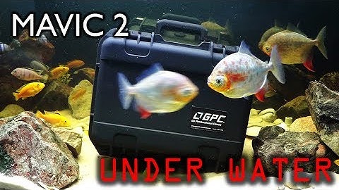 Full Stress Test! Mavic 2 Case from Go Professional Cases