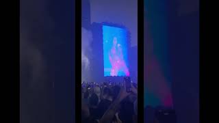 O Brasil Nos Istindo Show Da Virada