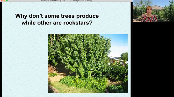 Urban Farm Fruit Tree Program  Janis & Greg - What...