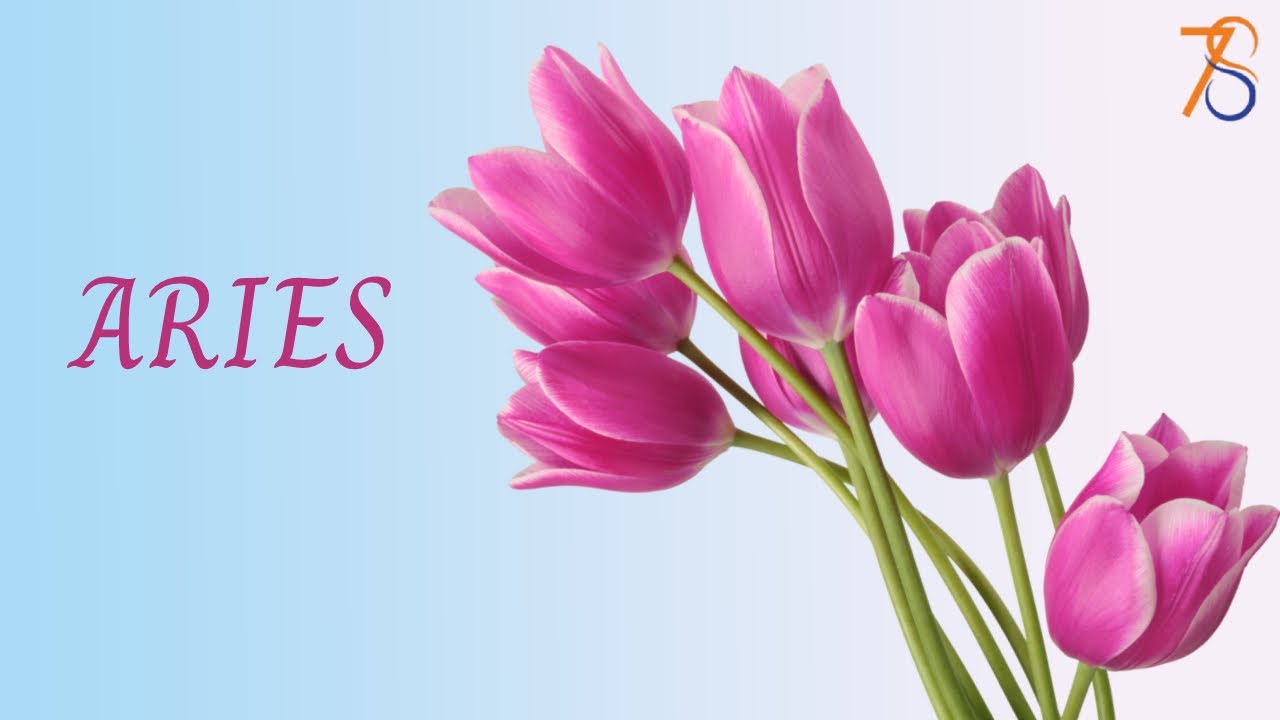 ARIES Tarot Reading On August 7 2023 Today Love Horoscope For ARIES Tarot Reading On August 7 2023 Today Love Horoscope For