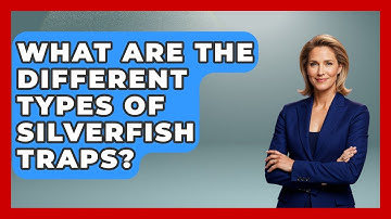 What Are The Different Types Of Silverfish Traps? - Insects and Invaders