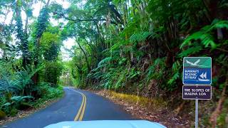 Driving Hawaii’s Hidden Gem | Old Mamalahoa Highway & Hamakua Coast | Big Island Hawaii