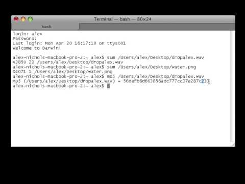 Terminal Lesson 17