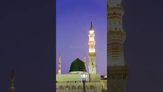 سُبْحَان اللَّهِ وَبِحَمْدِهِ ، سُبْحَانَ اللَّهِ الْعَظِيم.   @Rehan_Habib