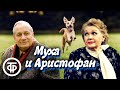 Муха и Аристофан. Юмористический рассказ (1978)