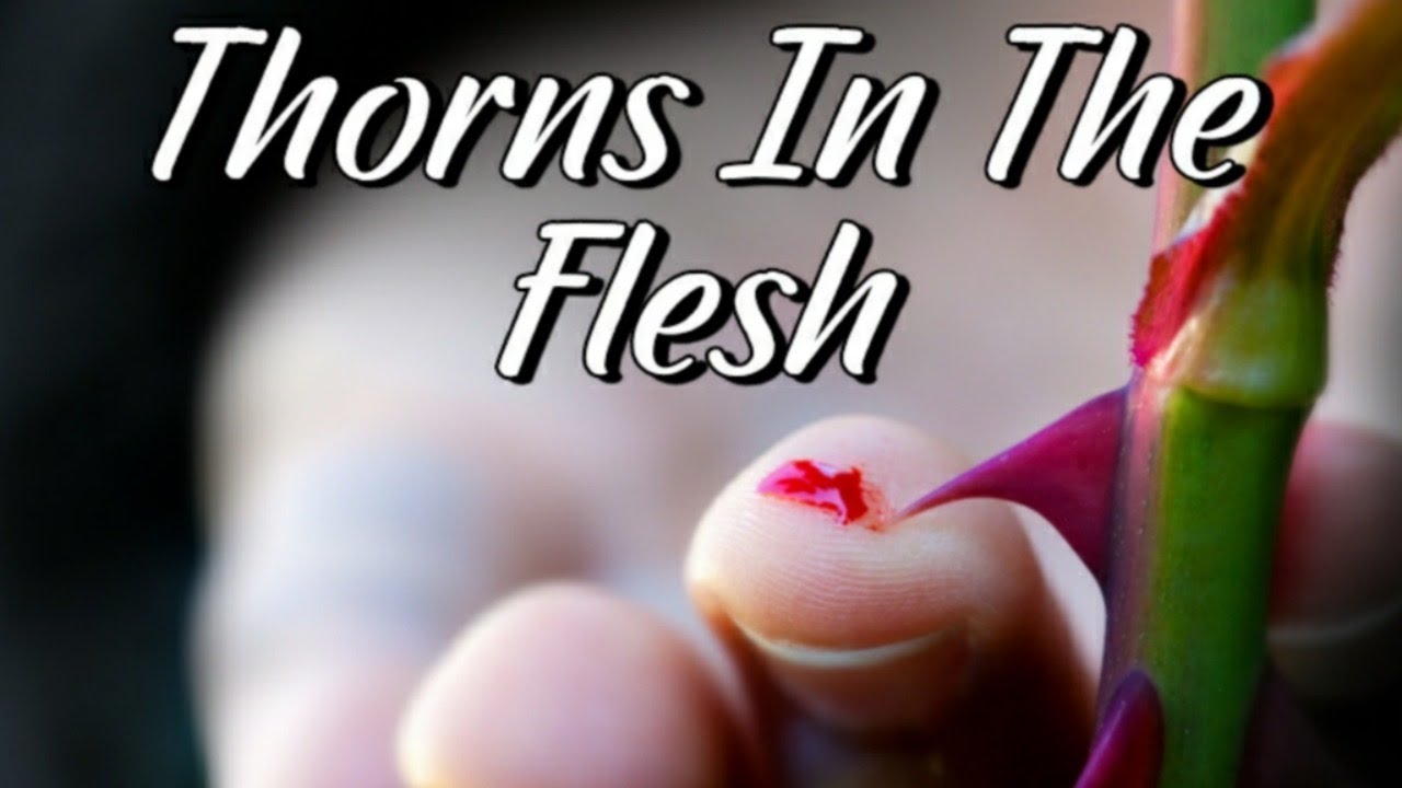 Thorns In The Flesh // Minister A. Evans YouTube