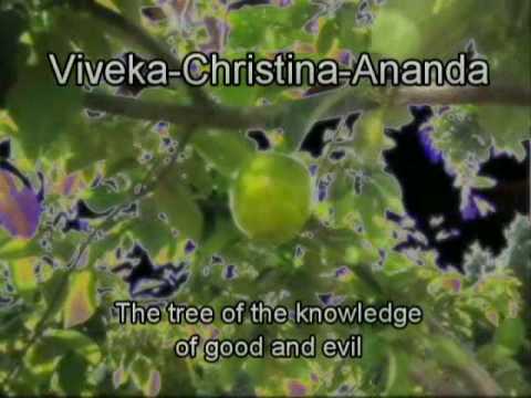 The Tree Of Knowledge 2.0