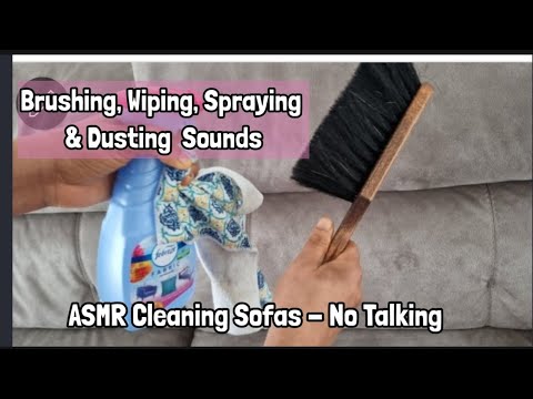 ASMR  Cleaning Sofas - Brushing, Wiping, Spraying, Dusting Sound No Talking.