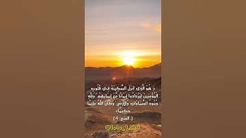 سورة الفتح( اية 4) بصوت القارى عبد الرحمن مسعد