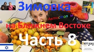 Автостоп. Обзор набожного г. Цфат. Непредсказуемый каучсерфинг. Зимовка на Ближнем Востоке. Часть 8