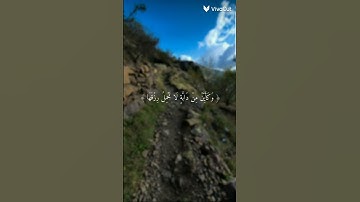 قران كريم اكتب شيء تؤجر عليه #الرحمن #المصحف #اكسبلور #راحة_نفسية #لايك