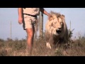 Animal tube | The Animal Communicator | Video tube