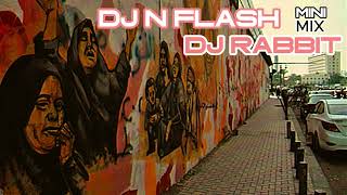 DJ N FLASH FT DJ RABBIT - MINI MIX - خلصانه