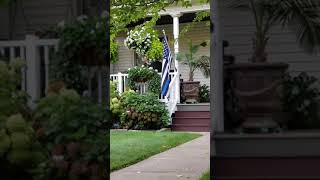 What happened to the flag? Am I seeing in filters? screenshot 4