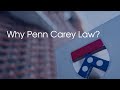 Why penn carey law