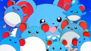 Every Appearance Of Marill In Pokémon Adventures In The Orange Islands