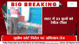 Bacheli Dog Control Drive: 23 Stray Dogs Vaccinated Today