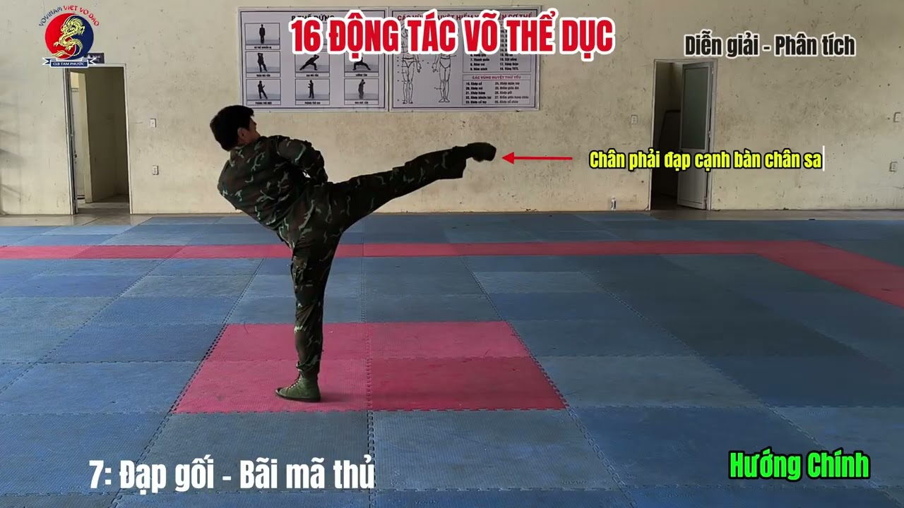 16 ĐỘNG TÁC VÕ THỂ DỤC | Võ bộ đội, lục quân, đặc công, biên phòng
