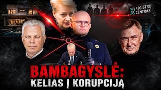 Bambagyslė: kelias į korupciją | Kas pirko pavogtus Registrų centro duomenis?