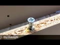 How To Fix a Stripped Wood Screw