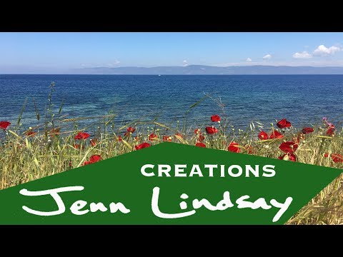 Animation of Portrait of Jenn Lindsay by Lisa Gold...