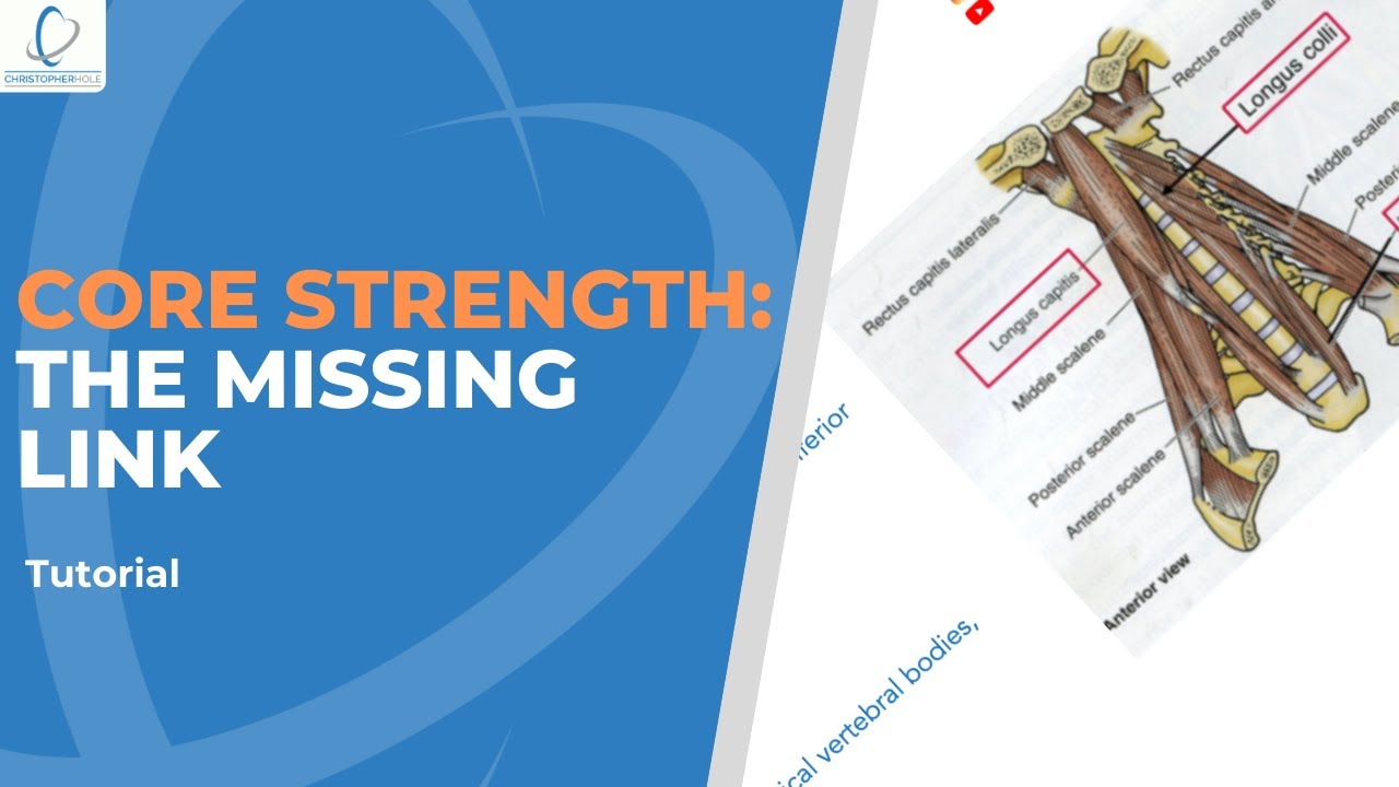 Core Strength The missing link to immediately build your core strength