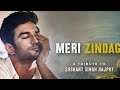 Behti hawa sa tha woh sushant singh rajput apna hero ssr