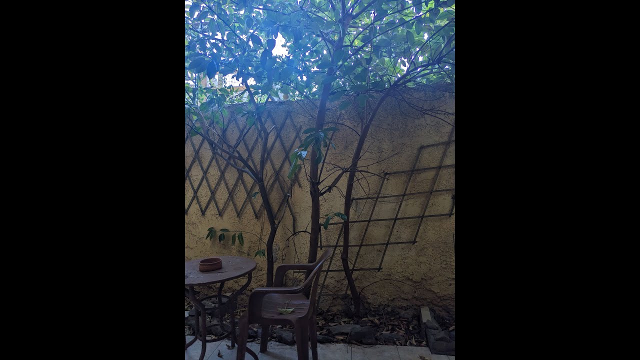 Part 8 - Thessaloniki and Tirana