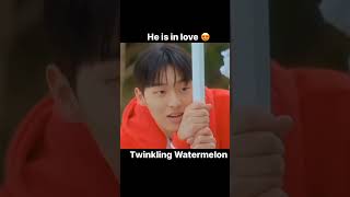 He is in love with her😍..#twinklingwatermelon #koreanseries #drama