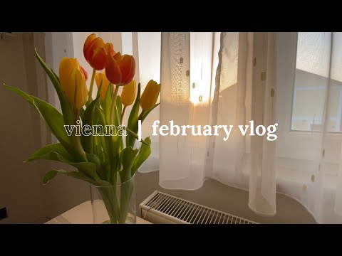 FEBRUARY | #3 life after lockdown