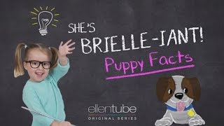 She's Brielle-iant, Puppy Facts