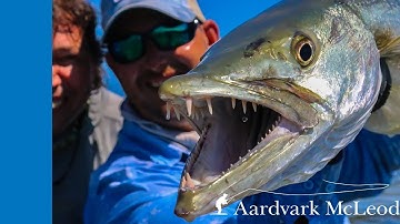 Providence Atoll, Seychelles - Fly Fishing Adventure 2018