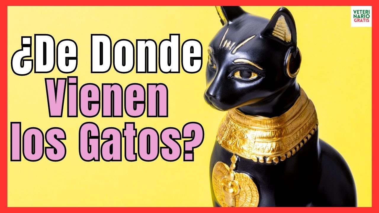¿DE DÓNDE VIENEN LOS GATOS? ¿CUAL ES EL ORIGEN DEL GATO DOMÉSTICO