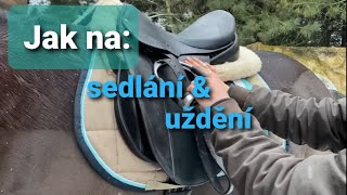 Jak na: Sedlání a uždění // L-EquiTeam