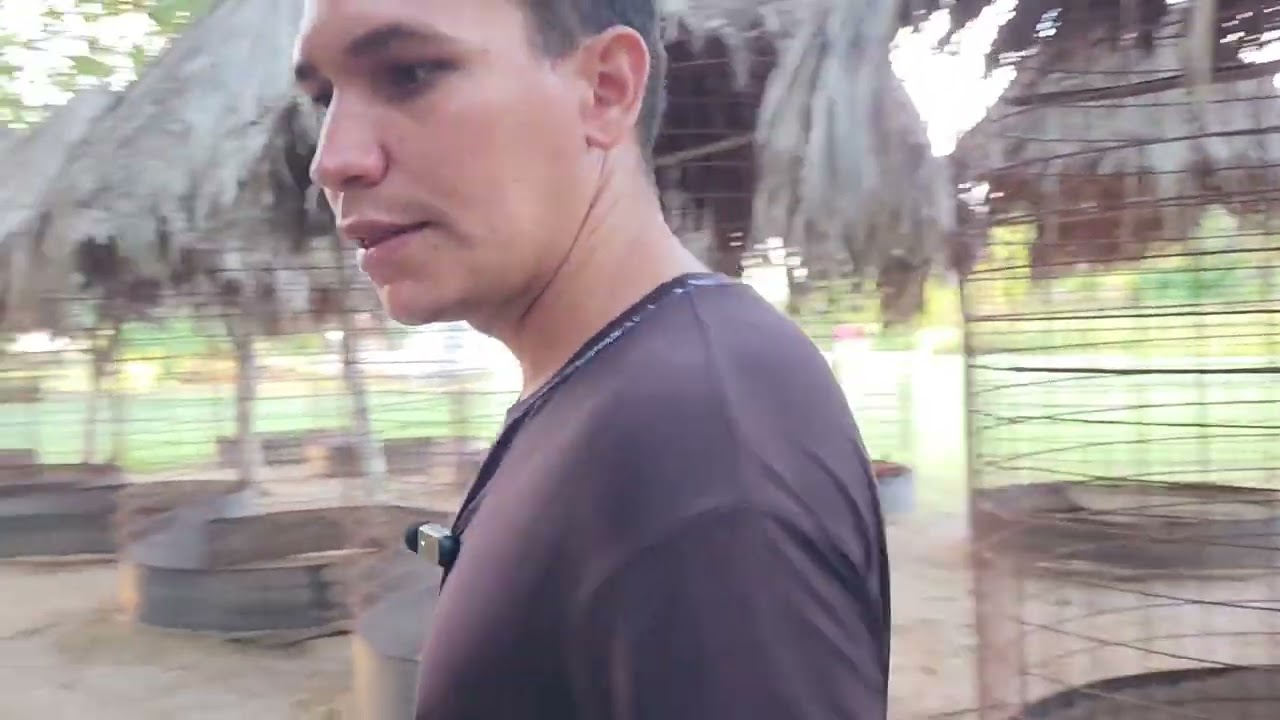 Galleria La Riera desde Venezuela De Luis Fernando Ríos