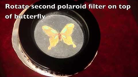 Light Polarization birefringence