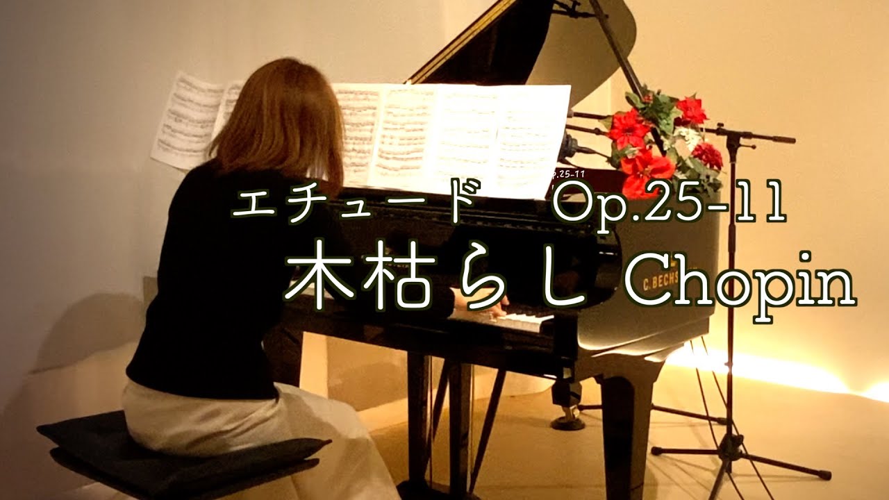 【木枯らしOp.25-11/ショパン エチュード】Chopin Etude 