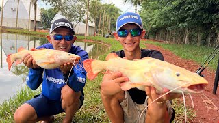 UM NOVO LAGO CHEIO DE PEIXE