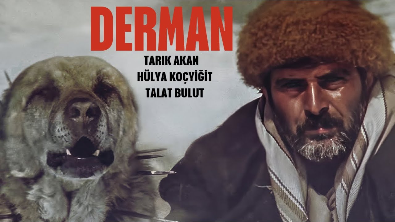 Derman Türk Filmi | FULL | 4K Ultra HD | Tarık Akan | Hülya Koçyiğit | Talat Bulut