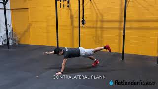 Contralateral plank demo