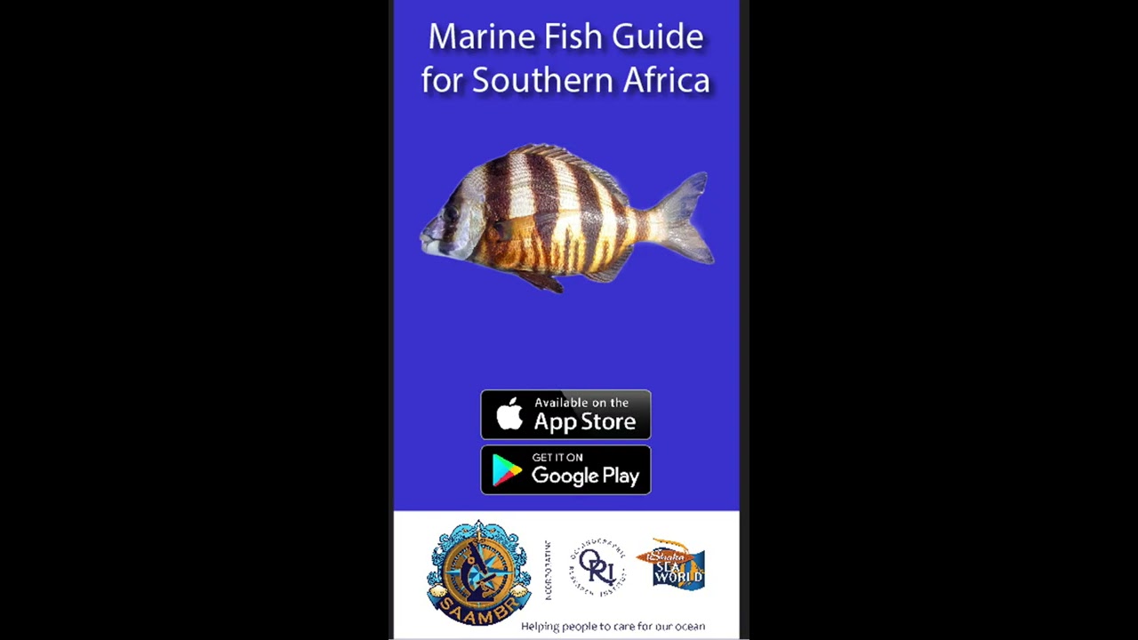 App - Marine Fish Guide for Southern Africa